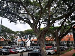 Tanjong Pagar Conservation Area (D2), Shop House #521842111